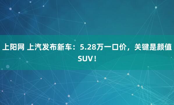 上阳网 上汽发布新车：5.28万一口价，关键是颜值SUV！