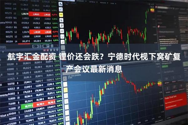 航宇汇金配资 锂价还会跌？宁德时代枧下窝矿复产会议最新消息
