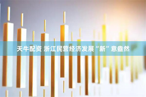 天牛配资 浙江民营经济发展“新”意盎然