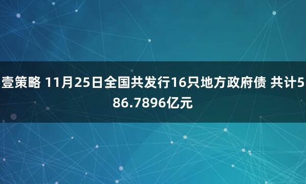 壹策略 11月25日全国共发行16只地方政府债 共计586.7896亿元